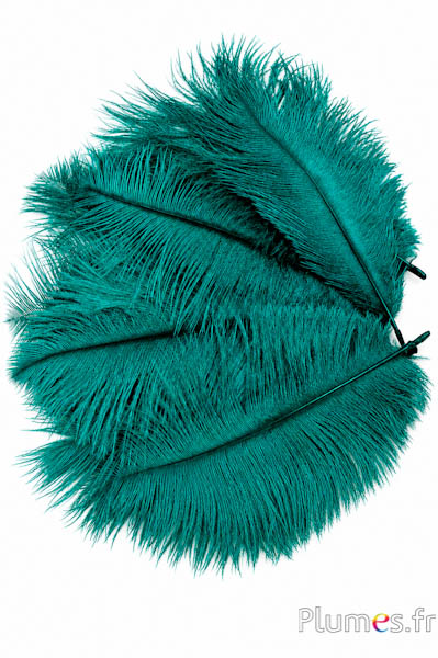 Struzzo - 13-18 cm - giada